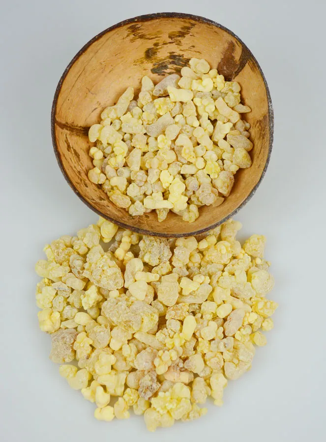 First Choice Eritrea Incense - Premium Quality from the Vatican - 100g (pic 2)