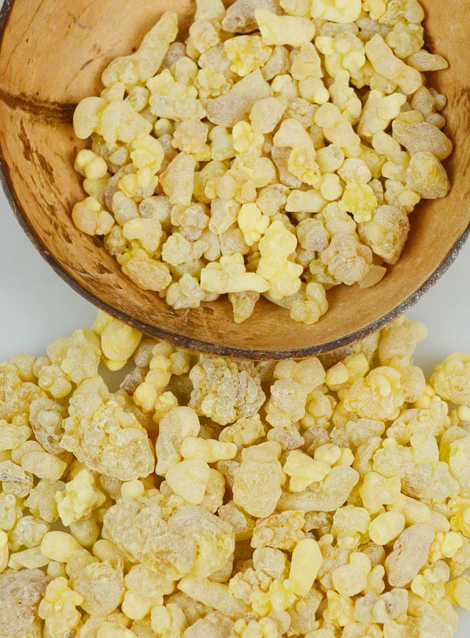 First Choice Eritrea Incense - Premium Quality from the Vatican - 100g (pic 4)