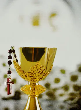 Communion Picture - Chalice Wine of Life and Rosary (pic 1)