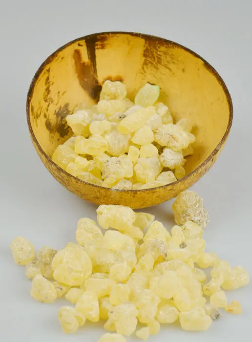 Grain Incense Dammar Resin 100g (pic 2)