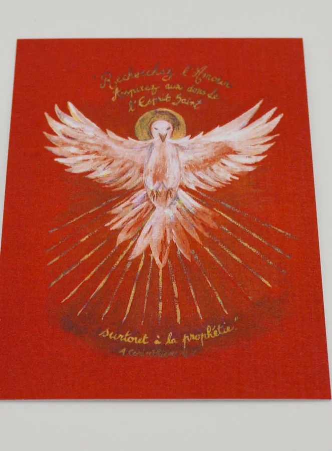 Red Confirmation Picture - Holy Spirit Dove (pic 2)