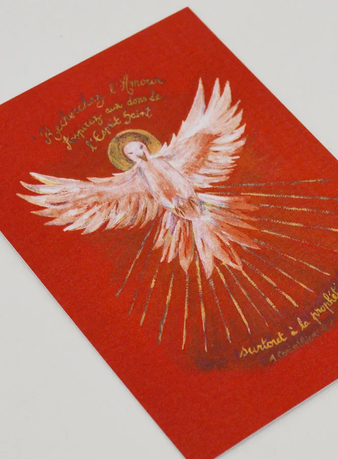 Red Confirmation Picture - Holy Spirit Dove (pic 3)