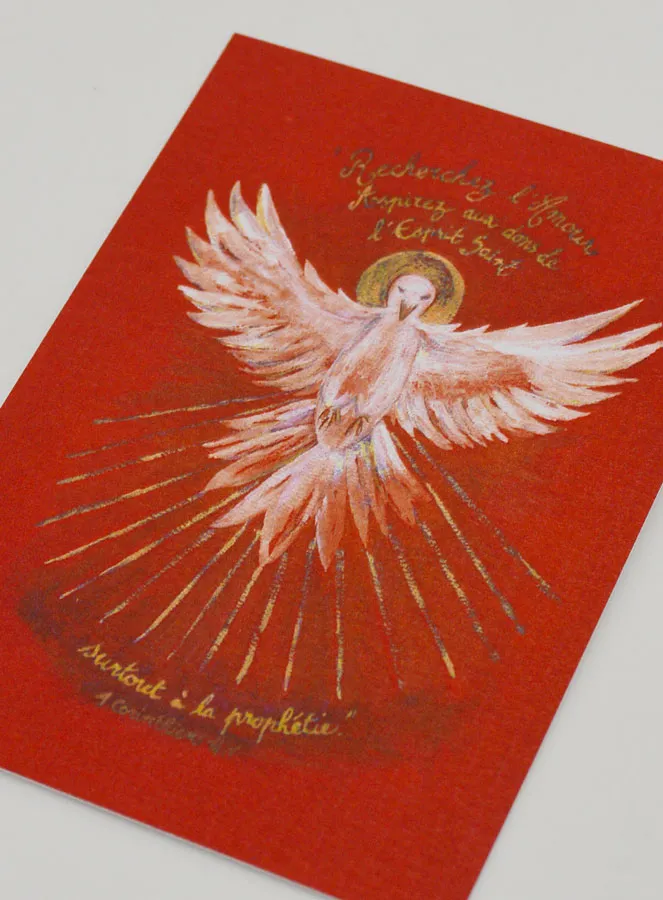 Red Confirmation Picture - Holy Spirit Dove (pic 4)