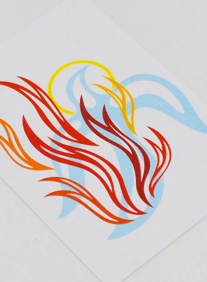 Confirmation Picture - Holy Spirit Dove's Fire (pic 3)