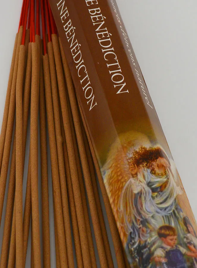 Divine Blessing Incense - Aromatika 20 Sticks (pic 4)
