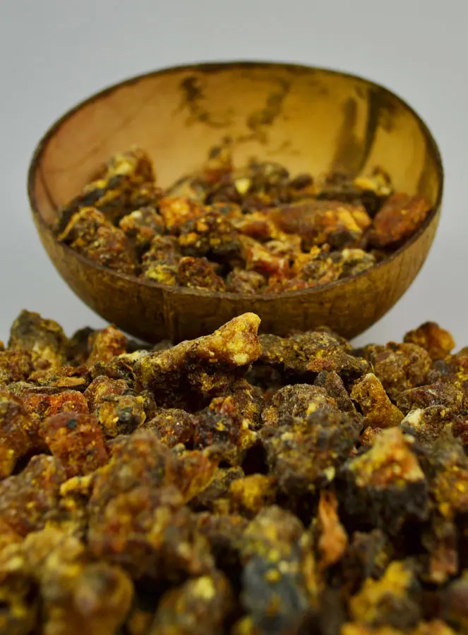 Religious Loose Incense Opoponax - 250g (pic 3)