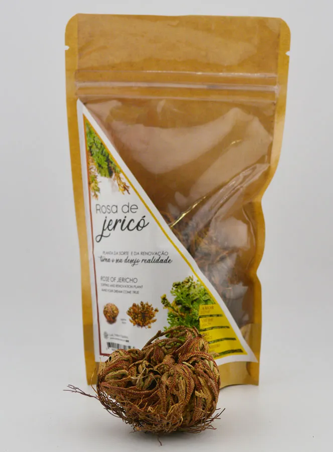 Rose of Jericho 10g - Resurrection Plant (pic 1)