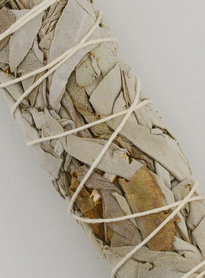 California White Sage - Smudge Stick 20-30g (pic 3)
