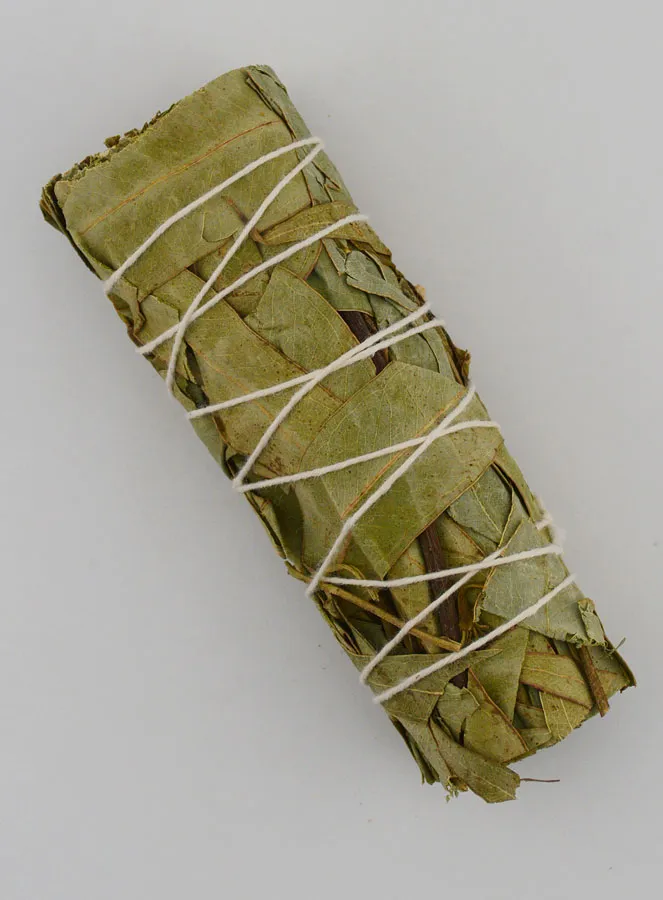 Eucalyptus - Smudge Stick 30g (pic 1)