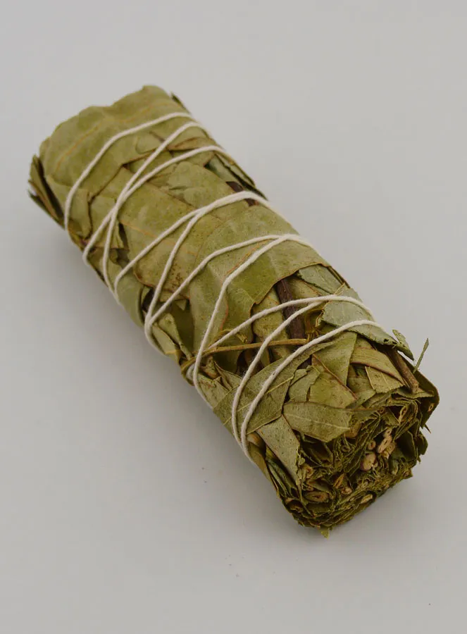 Eucalyptus - Smudge Stick 30g (pic 2)