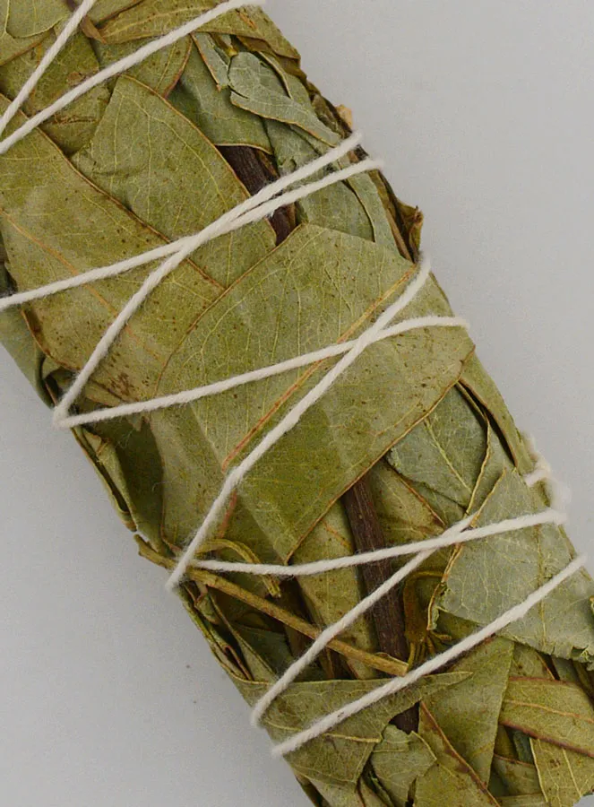 Eucalyptus - Smudge Stick 30g (pic 3)