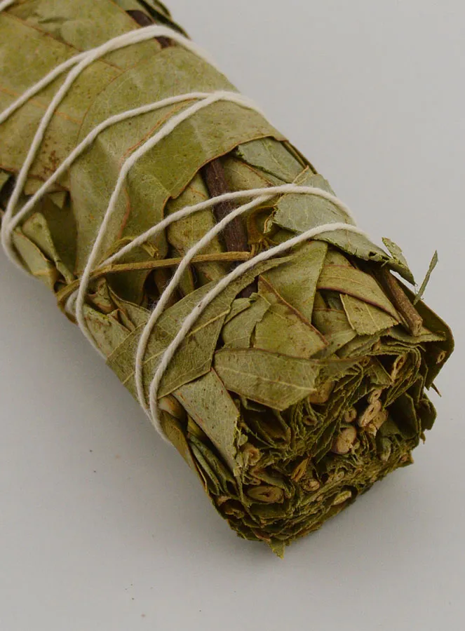Eucalyptus - Smudge Stick 30g (pic 4)