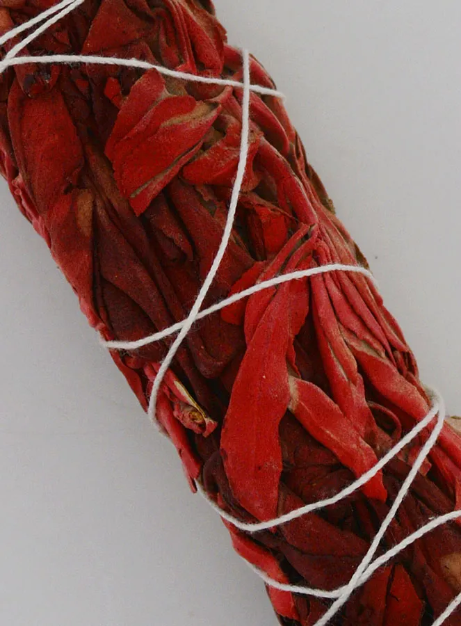 White Sage and Dragon's Blood - Smudge Stick 25g (pic 3)