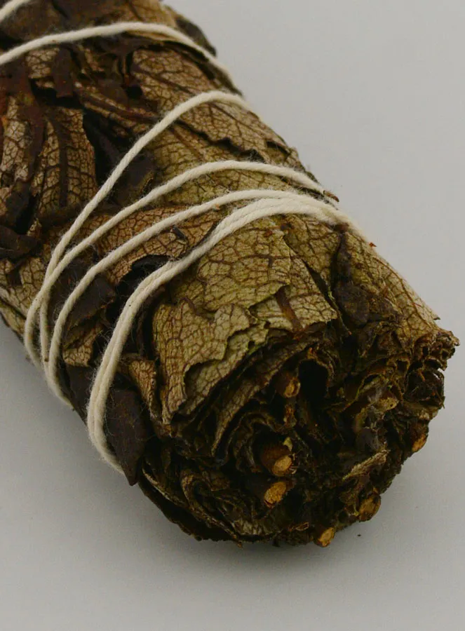 Black Sage - Mugwort Smudge Stick 30g (pic 4)