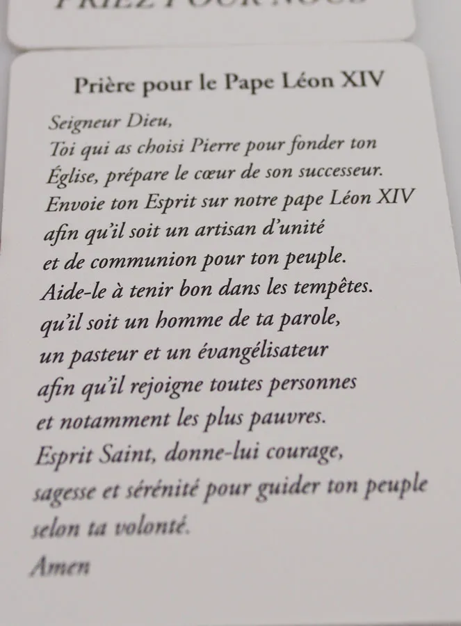Palo Santo Religious Incense and Prayer for Pope Leo XIV (pic 4)
