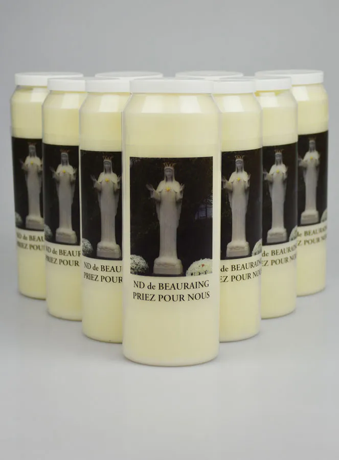 Set 10 Sanctuary Candles Our Lady of Beauraing (pic 1)