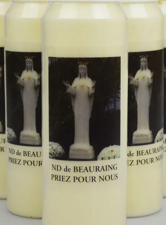 Set 20 Sanctuary Candles Our Lady of Beauraing (pic 3)