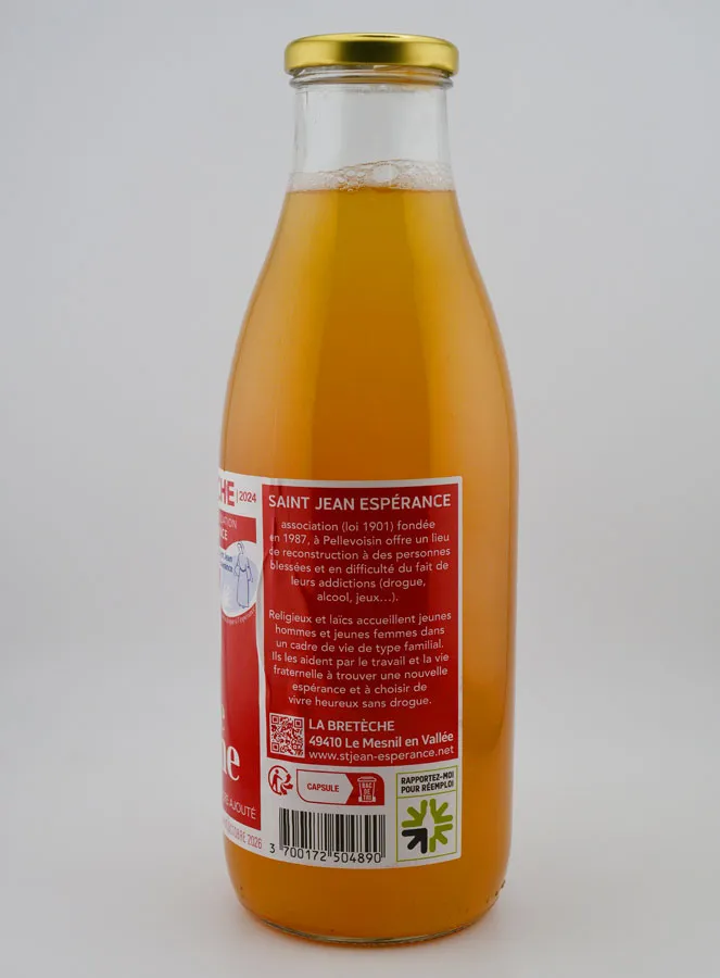 Organic and Fair Trade Apple Juice (pic 3)