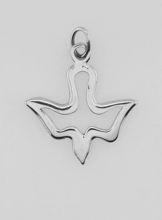 Holy Spirit Medal in Stainless Steel - 17mm (pic 1)