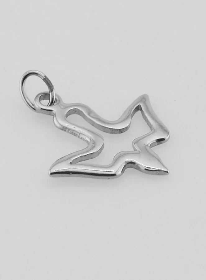 Holy Spirit Medal in Stainless Steel - 17mm (pic 3)