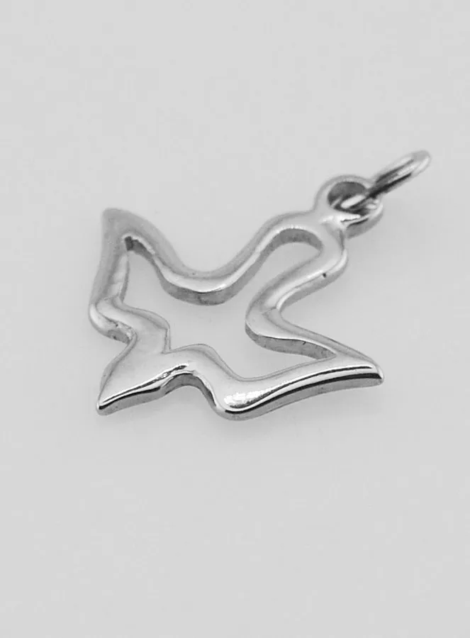 Holy Spirit Medal in Stainless Steel - 17mm (pic 4)