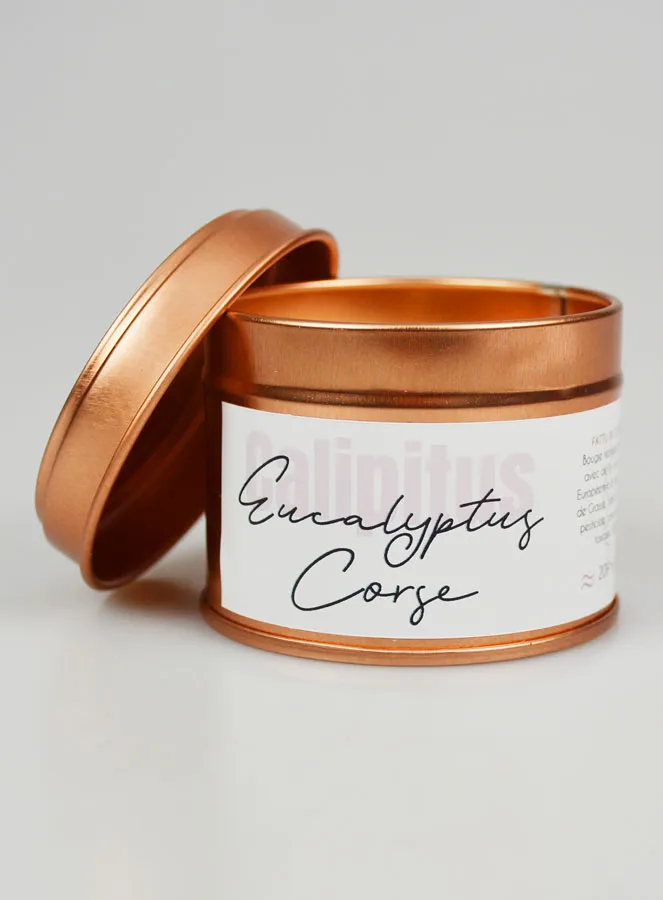 Handmade Scented Candle - Eucalyptus from Corsica (pic 1)