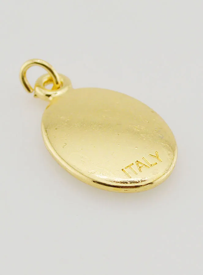 Golden Medal Pope Francis - 25mm (pic 4)