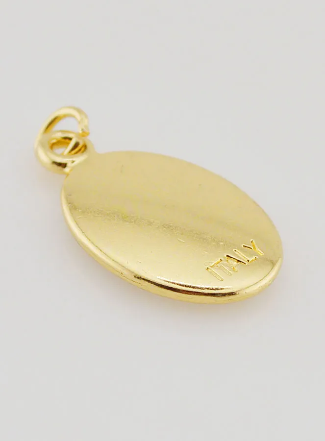 Golden Medal Pope Leo XIV - 25mm (pic 4)