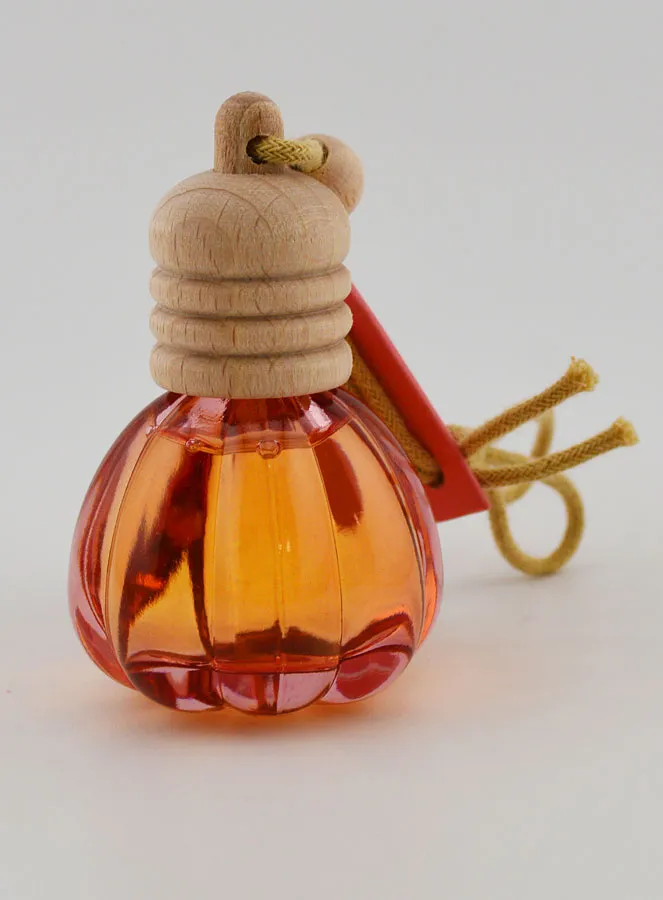Hanging Essential Oil Diffuser – Citrus fruits (pic 1)