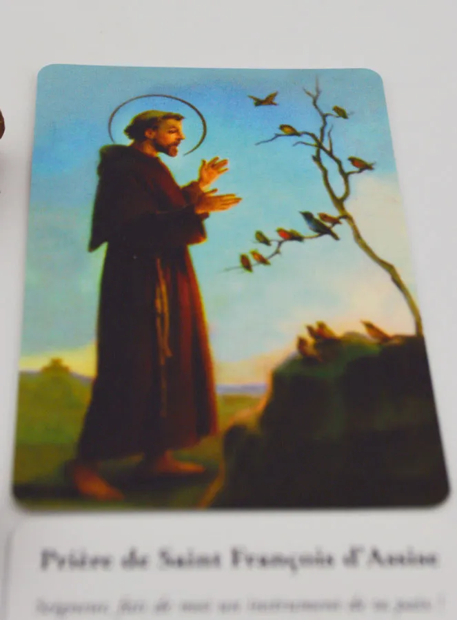 Saint Francis Incense Cones (pic 4)