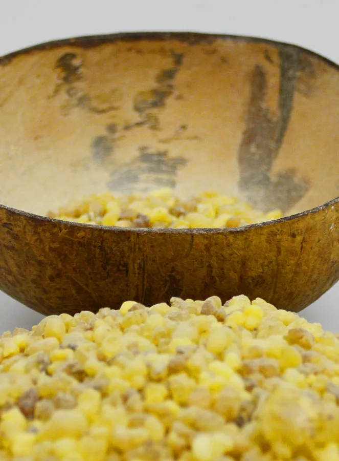 Olibanum Church Incense 250g (pic 3)