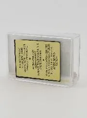 Our Lady of Lourdes 3D Souvenir Magnet