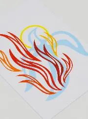 Confirmation Picture - Holy Spirit Dove's Fire