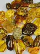 Baltic Amber Tumbled Stone