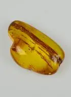 Baltic Amber Tumbled Stone