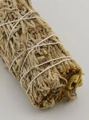 Green Sage - Smudge Stick 30g