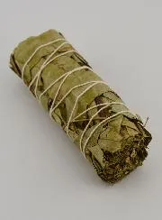 Eucalyptus - Smudge Stick 30g