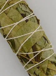 Eucalyptus - Smudge Stick 30g