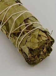 Eucalyptus - Smudge Stick 30g