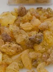 Religious Copal Incense + Prayer St Francis