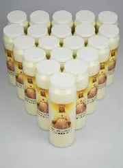 20 Sanctuary Candles Our Lady of Pellevoisin