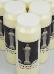 Set 20 Sanctuary Candles Our Lady of Beauraing