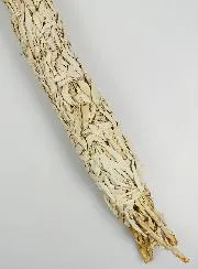 Large White Sage Smudge Stick - 50cm