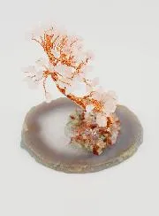 Tree of Life on Agate - Rose Quartz