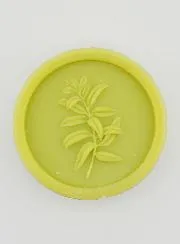 Verbena Botanical Soap - 100g