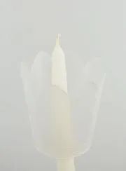 Flame Protector For Procession Candles