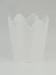 Flame Protector For Procession Candles