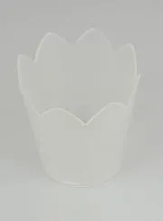 Flame Protector For Procession Candles