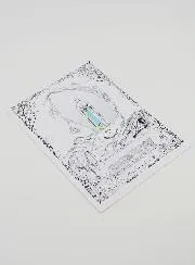 Card of Our Lady of Lourdes