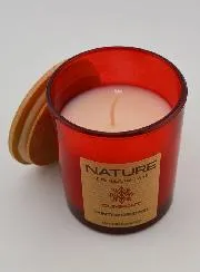 Organic Scented Candle – Winter Scent